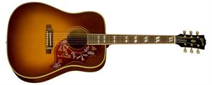Hummingbird Acoustic/Electric