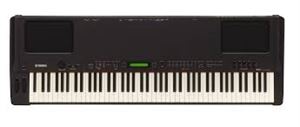 P250 88-Key Electric Piano